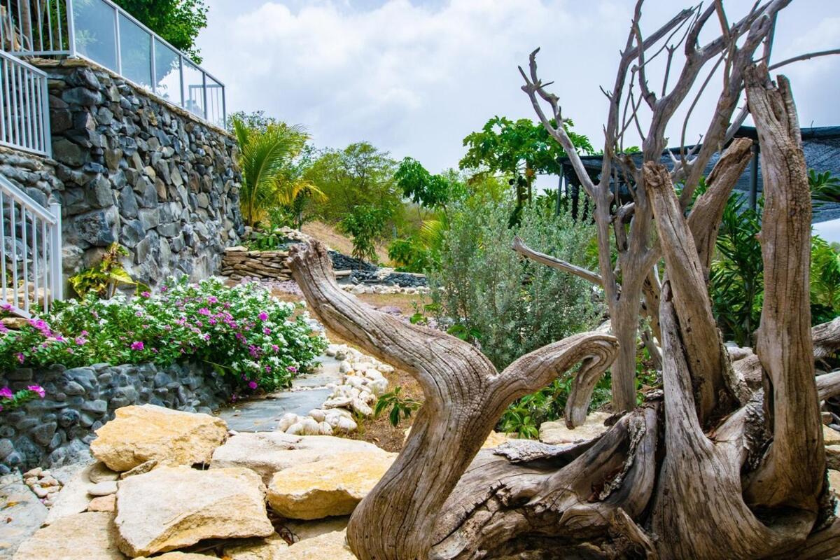 Onyx-- A Gem At Dee'S Pearl Villa Carriacou Exterior photo