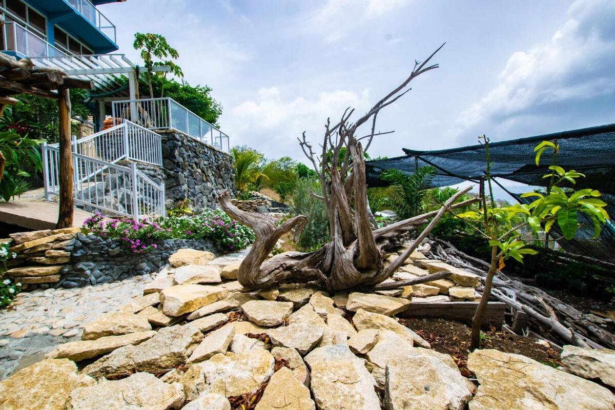 Onyx-- A Gem At Dee'S Pearl Villa Carriacou Exterior photo